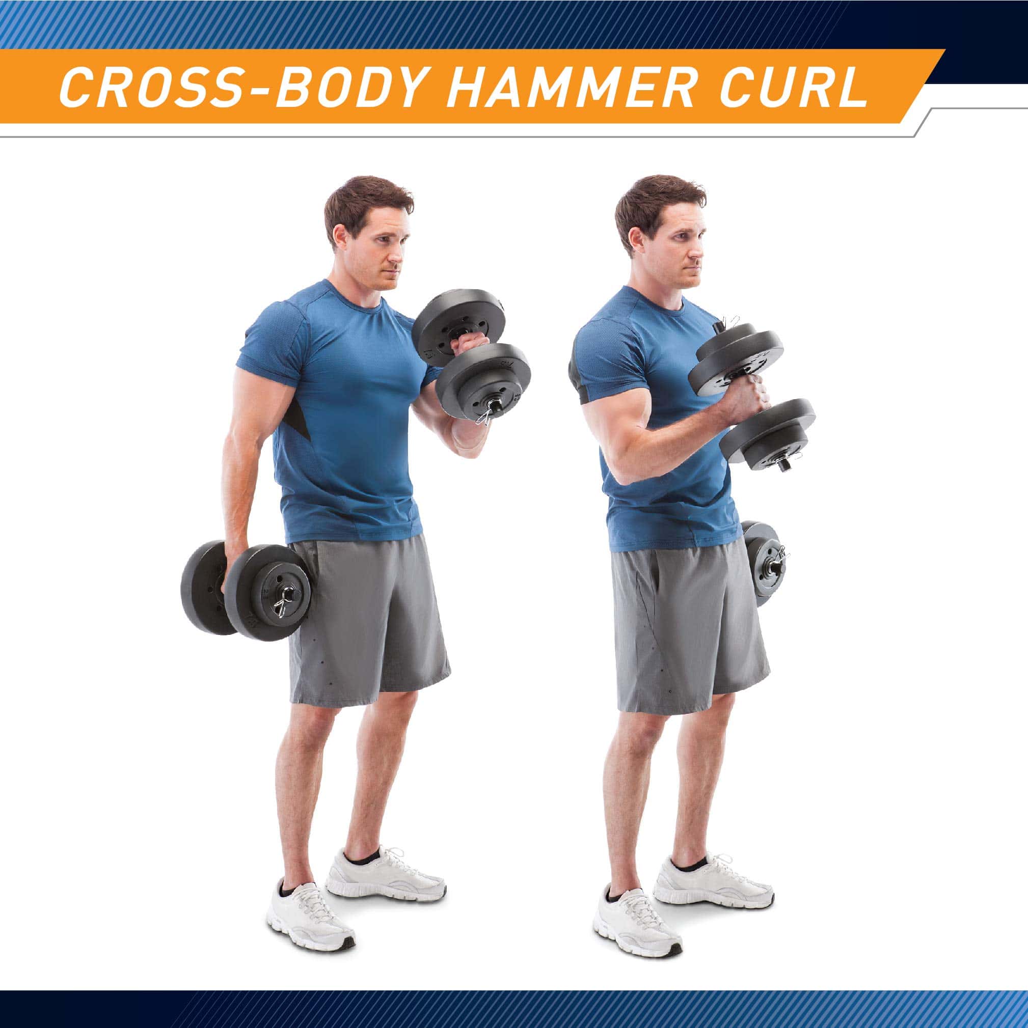 Cross Body Hammer Curl – Gập tạ vuông tay