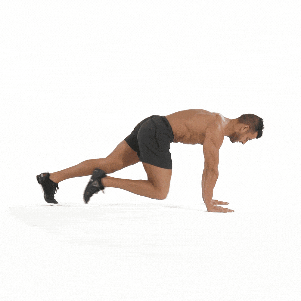 Mountain Climbers