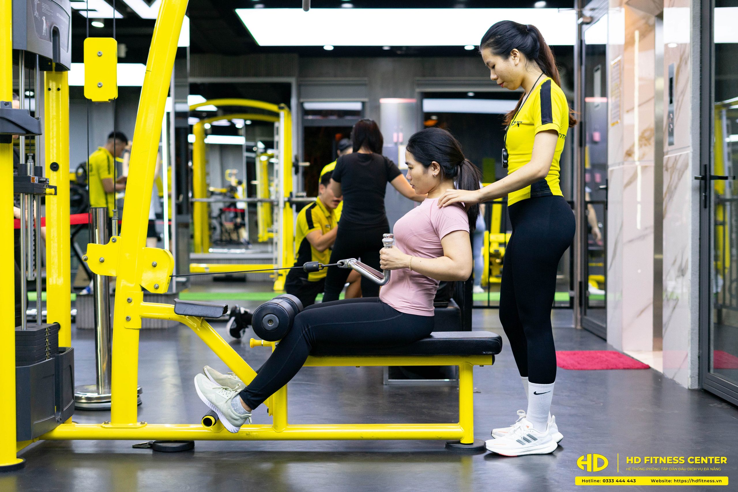 bài tập thể dục buổi sáng 30p